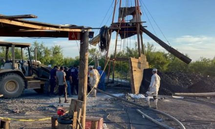 Exigen sanciones en ‘El Pinabete’