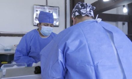 Reanudan esterilizaciones gratuitas en Ramos Arizpe