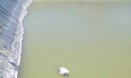 Hombre da la vida por su perrito en Gómez Palacio; murió ahogado mientras intentaba rescatarlo de un estanque