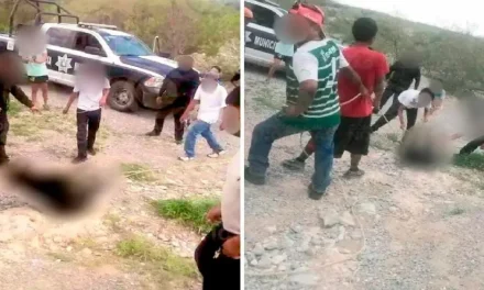 Piden castigo ejemplar por muerte de osezno en Castaños, en Congreso de Coahuila