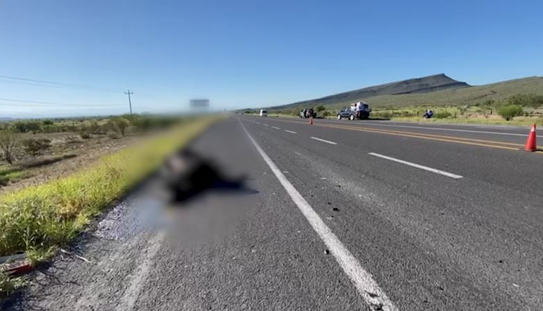 Atropella a vaca preñada, en carretera a Monclova