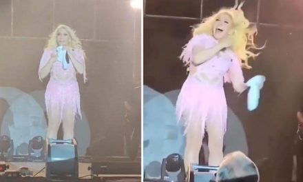 Una cucaracha ‘ataca’ a Yuri en pleno concierto; así reaccionó (video)