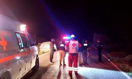 Caballo ocasiona accidente en la carretera General Cepeda – Parras
