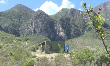 Reforestarán el Cañón de San Lorenzo; invitan a saltillenses a sumarse este domingo