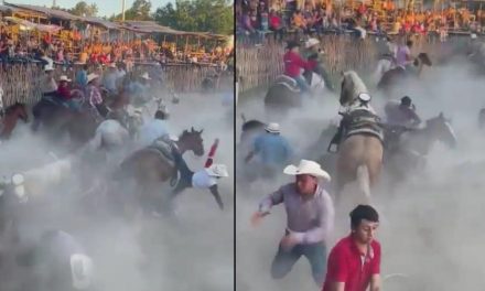 Caballos se tropiezan y se lesionan junto a jinetes en torneo de lazo en Telchac, Yucatán