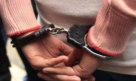 Resaltan detención de ladrona en Saltillo