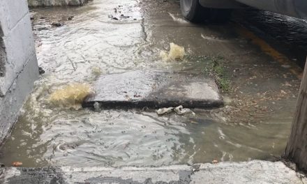 Vecinos no soportan fuga de aguas negras en la colonia Vistahermosa de Saltillo