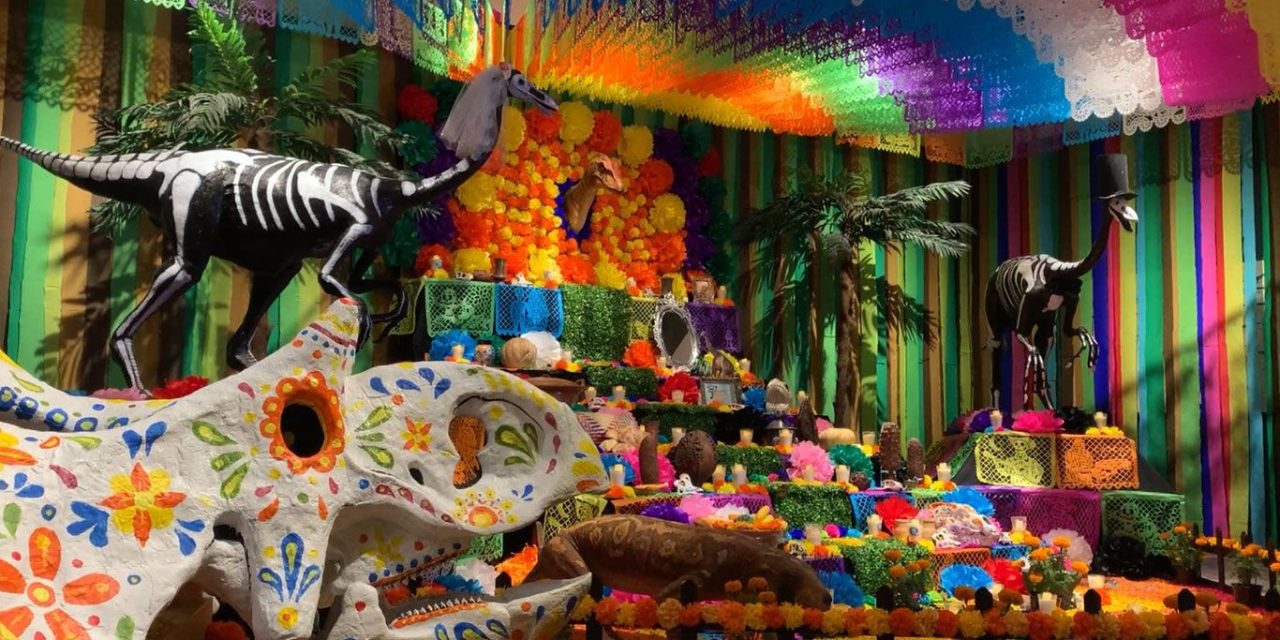 Saltillo: Instala Museo del Desierto altar en tributo a los dinosaurios