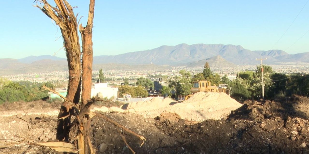 Vecinos de Lomas de Lourdes se inconforman ante tala de arboles