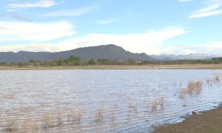 Augura SEDER un buen año agrícola para Coahuila