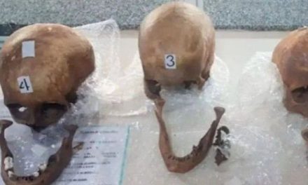 Hombre fue detenido en Argentina; viajaba con 4 cráneos en su maleta