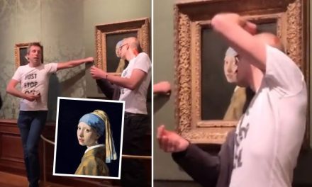 Activistas climáticos intentan pegarse al cuadro ‘La joven de la perla’, de Vermeer (video)