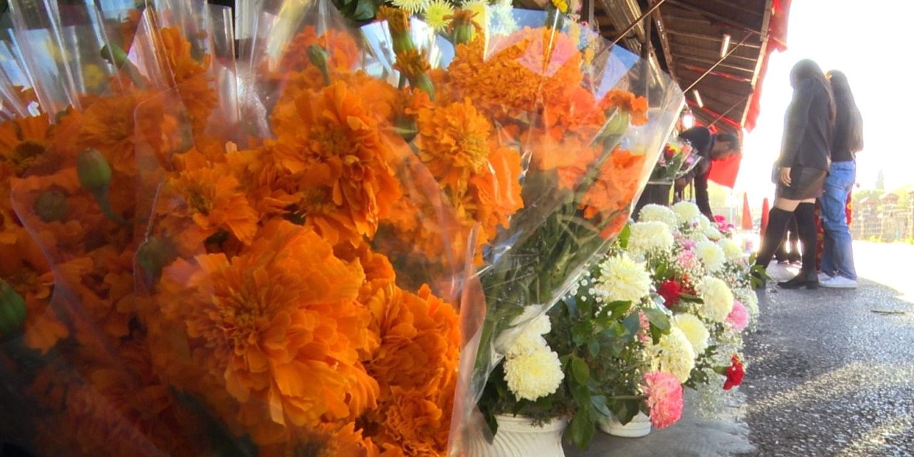 Flor de Cempasúchil mantiene sus precios en Saltillo