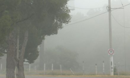 Frente frío afecta a Saltillo; desciende flujo de peatones y automóviles