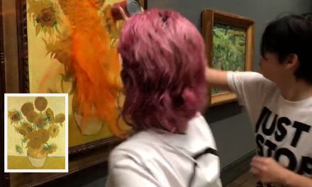 Dos ecologistas arrojan sopa de tomate al cuadro ‘Los girasoles’ de Van Gogh en Londres (video)