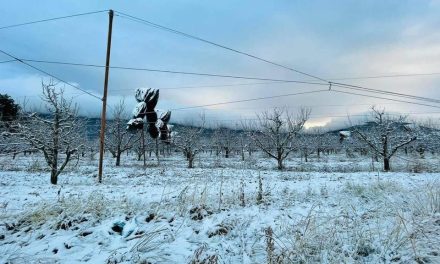 Frente frío podría traer heladas para Coahuila