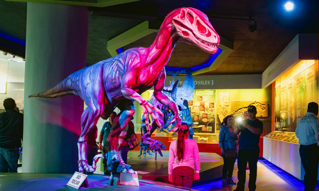 Presenta Museo del Desierto ‘After Dark’