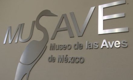 Ofrecerá Museo de las Aves concierto de piano en Saltillo