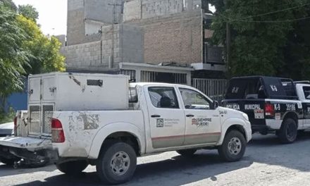 Perros devoran el cadáver de su amo en Torreón