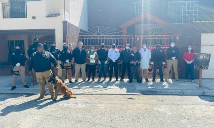 Saltillo: Aseguran más de 39 kilos de marihuana en Portal de Aragón