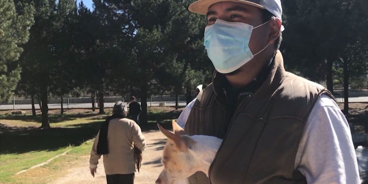 SEMA tendrá taller para rescatistas de mascotas en el Bosque Urbano de Saltillo