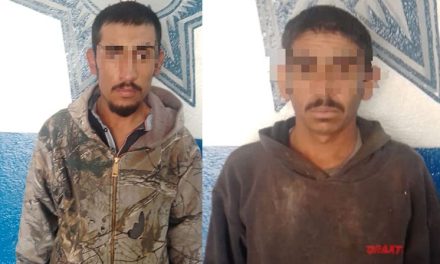 Detienen a dos personas por tala ilegal en Arteaga