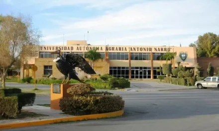 Ahora en la UAAAN: Otra amenaza de tiroteo en escuela de Torreón