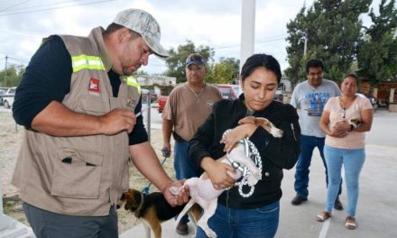 Vacunan a mascotas contra rabia en Sabinas
