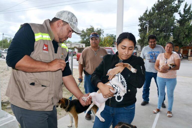Vacunan a mascotas contra rabia en Sabinas