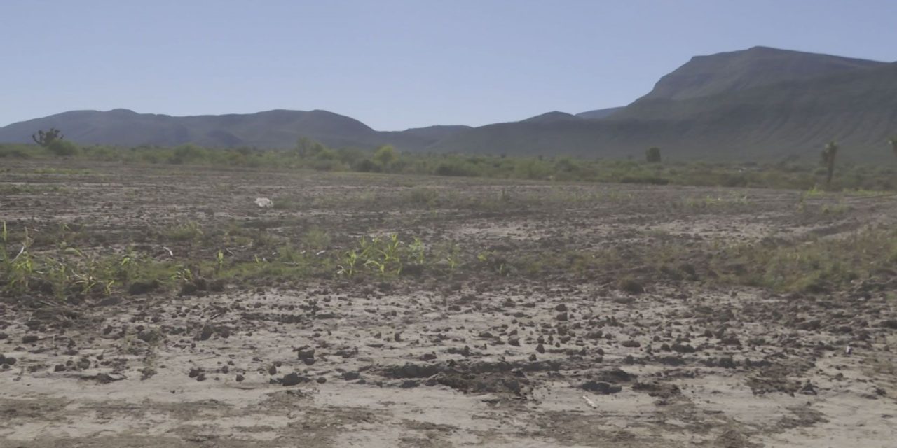 Un año más sin recursos federales para el campo coahuilense