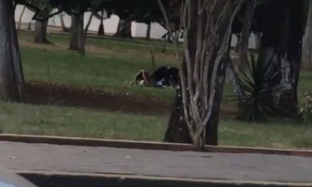 Jóvenes son captados teniendo relaciones en parque de Morelia
