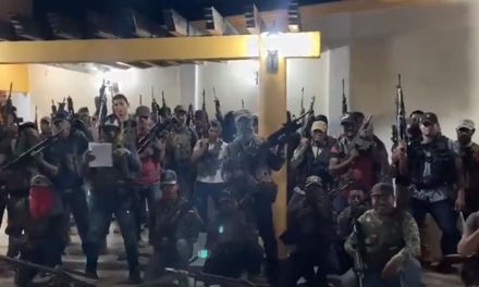 Presume arsenal la Familia Michoacana (video)