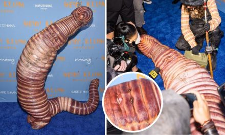 Heidi Klum vuelve a ser la reina de los disfraces en Halloween: ¡es un gusano gigante! (video)