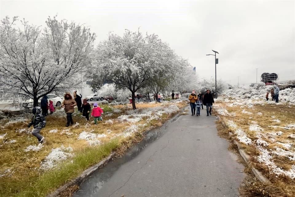 Conagua espera la posible caída de aguanieve en Coahuila y temperaturas bajo cero