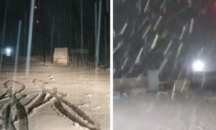 Así fue la primera nevada en Nuevo León (video)