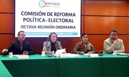 Reforma electoral se votará el próximo 29 de noviembre