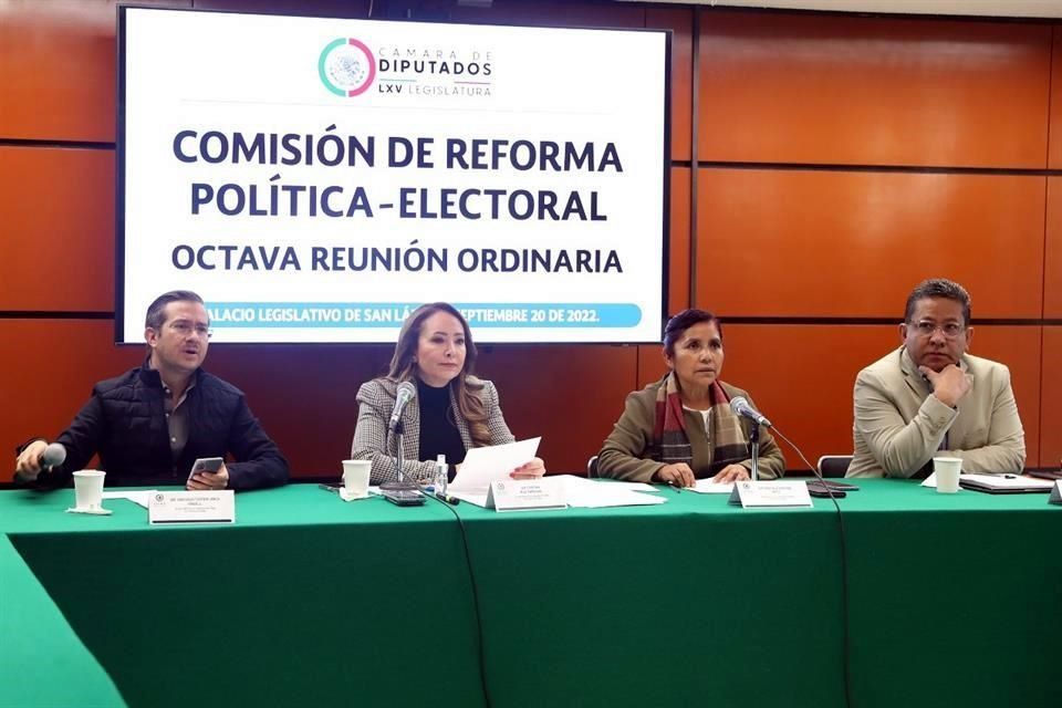 Reforma electoral se votará el próximo 29 de noviembre