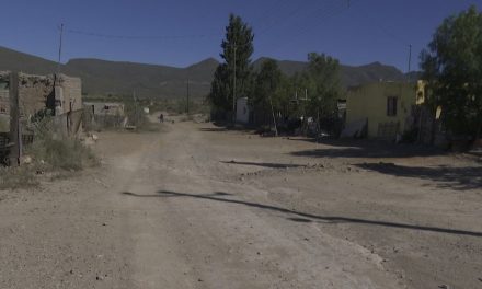 Se salvó el ciclo otoño-invierno de siembra en Coahuila gracias a las lluvias