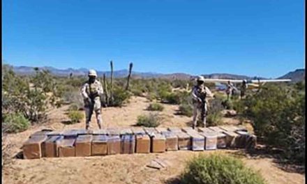 Sedena asegura 500 kilos de estupefacientes a aeronave en San Quintín, Baja California