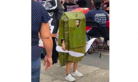 Pequeño se roba el corazón de internet al disfrazarse de tamal oaxaqueño (video)
