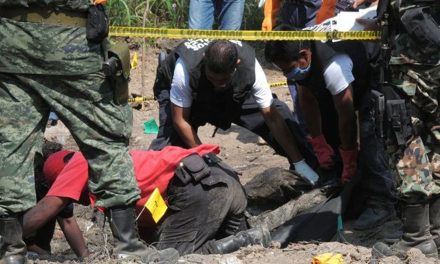 Hallan ocho cadáveres en narcofosas de Tarímbaro, Michoacán