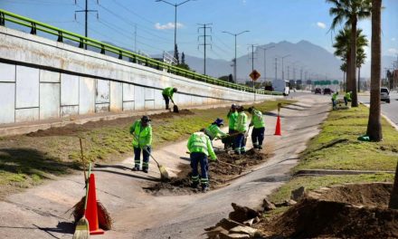 Con Saltillo Me Gusta embellecen bulevares