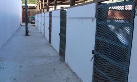 En rehabilitación Centro de Control Canino de Torreón