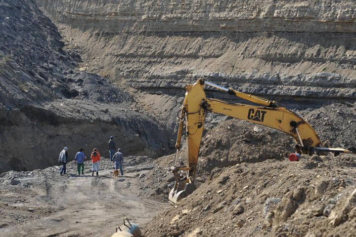 Impulsan diversificación de la Carbonífera