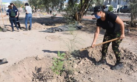 Torreón trabaja por el Medio Ambiente; certifican vivero municipal