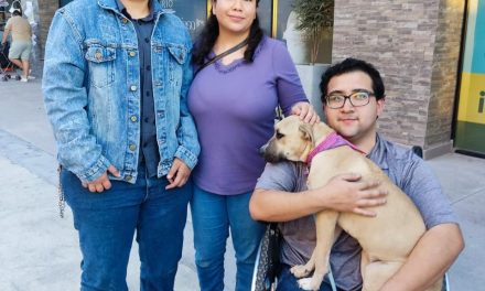 Salud Municipal invita a adoptar un amigo en Torreón