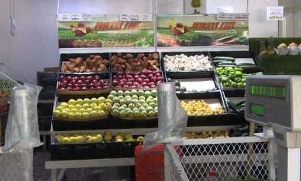 Invita SS a llevar una alimentación saludable