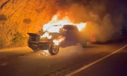 Se incendia camioneta en carretera: bomberos de Arteaga sofocaron las llamas
