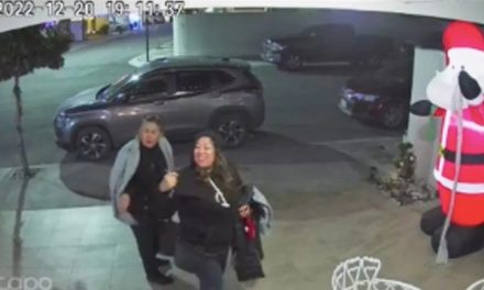 Mujeres acuden a posada y cantan para entrar… se equivocaron de casa(video)