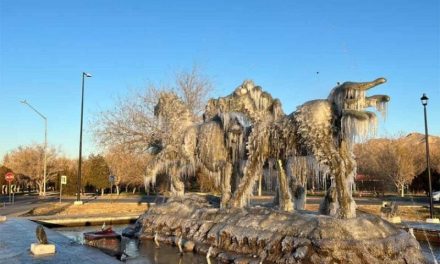 ¡Chihuahua se congela! Cae Nieve, aguanieve y la temperatura registra -10 grados